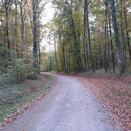 Appartement A L'oree Du Bois Les Bouleaux Guewenheim