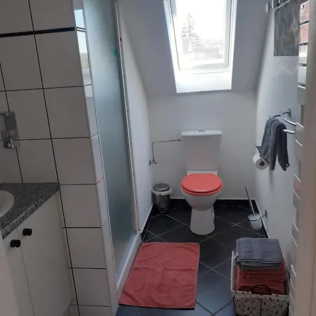 A L'oree Du Bois Les Bouleaux Guewenheim