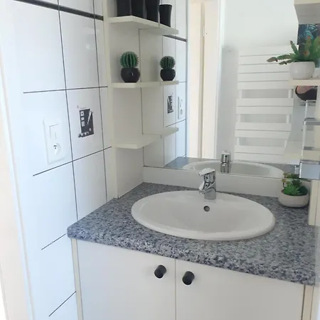 A L'oree Du Bois Les Bouleaux *