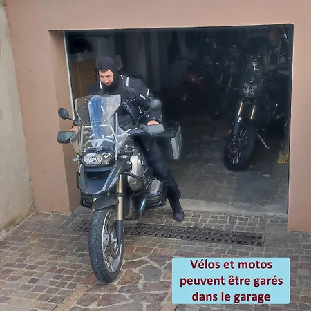 A L'orée Du Bois Les Bouleaux