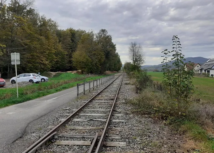 A L'orée Du Bois Les Bouleaux Apartamento Guewenheim